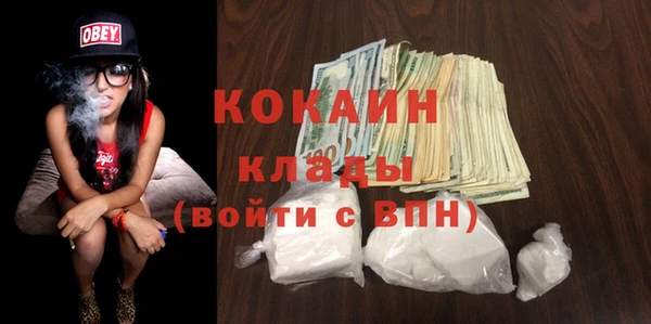 2c-b Бикин