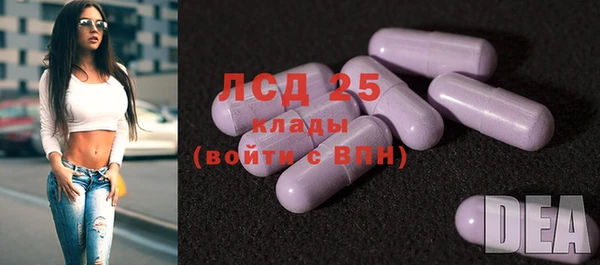 дмт Билибино
