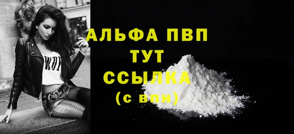 дмт Билибино