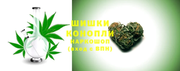 индика Гусиноозёрск