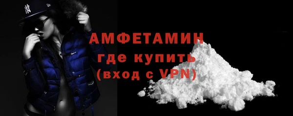 индика Гусиноозёрск
