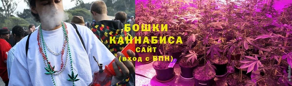 дмт Билибино