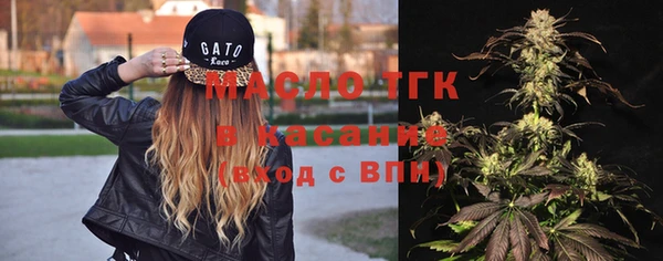 индика Гусиноозёрск