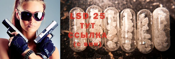 2c-b Бикин