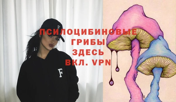 индика Гусиноозёрск