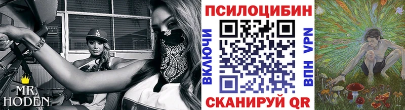 Галлюциногенные грибы MAGIC MUSHROOMS Западная Двина